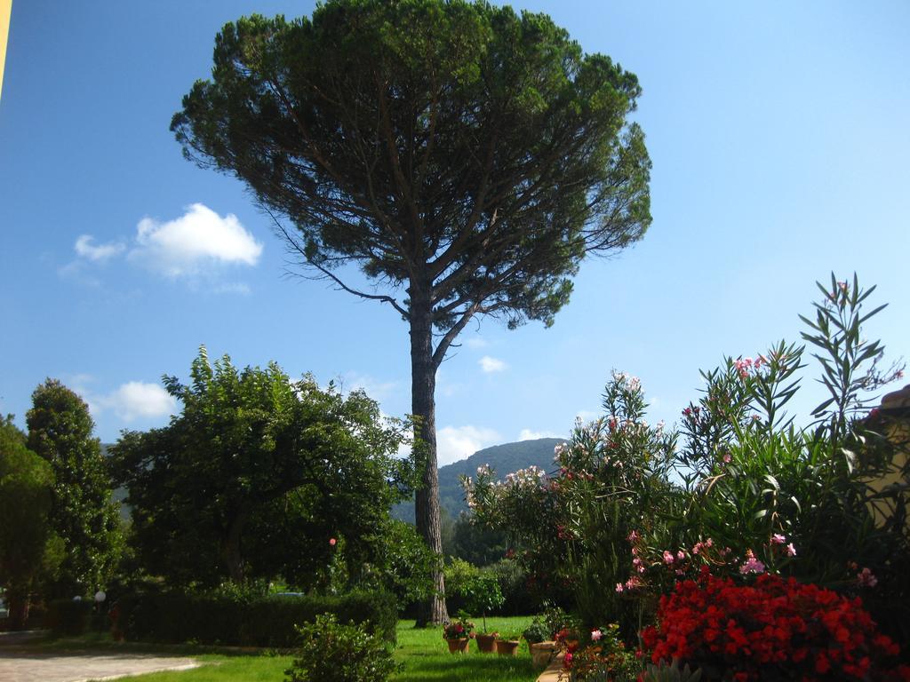 Pardi Bed & Breakfast 3*