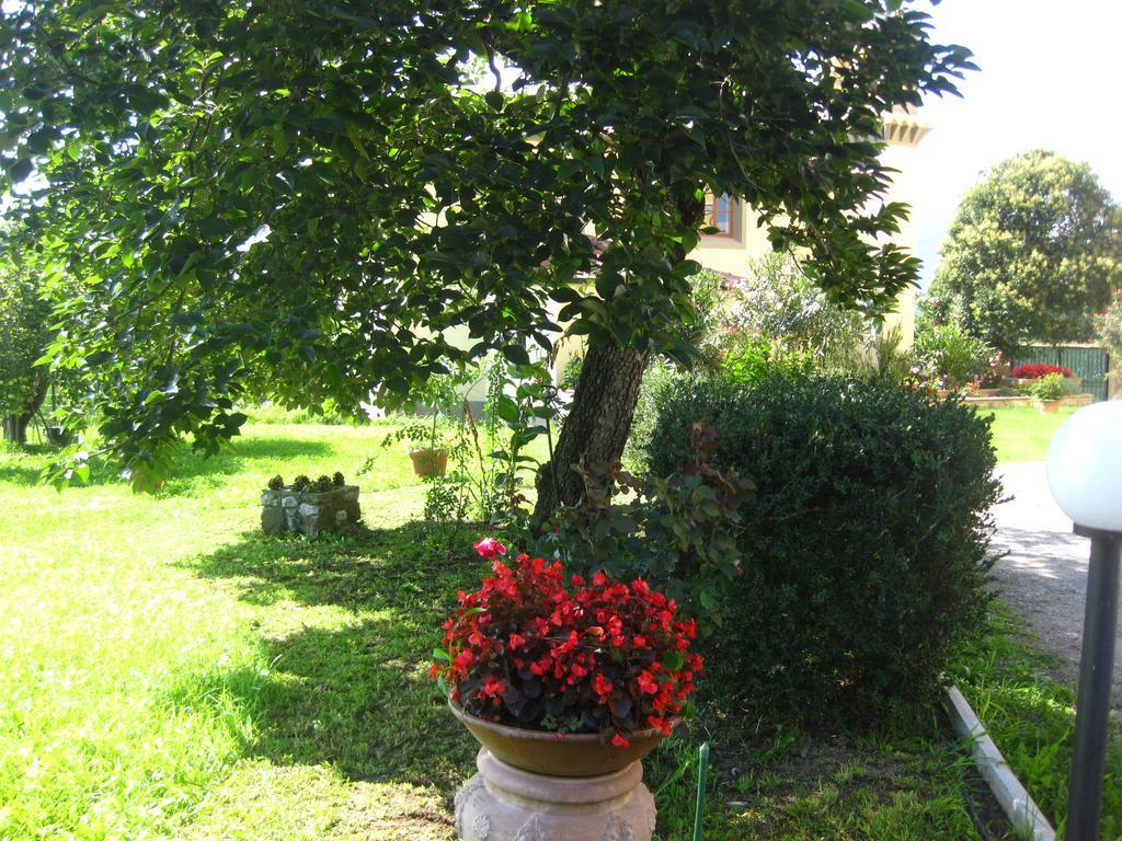 Pardi Acomodação com café da manhã  Lucca