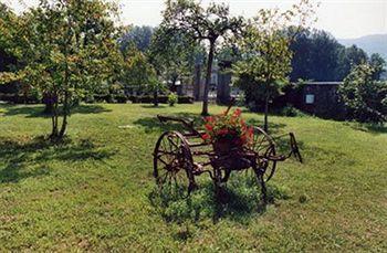 Pardi 3* Lucca