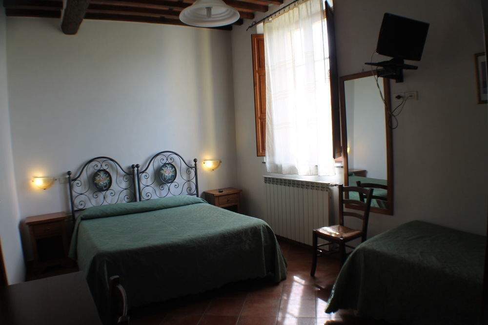 Pardi Lucca
