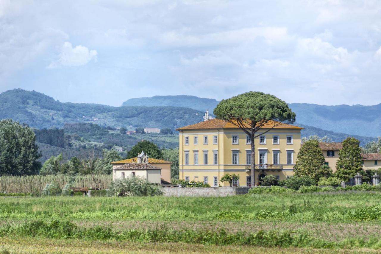 Pardi 3* Lucca