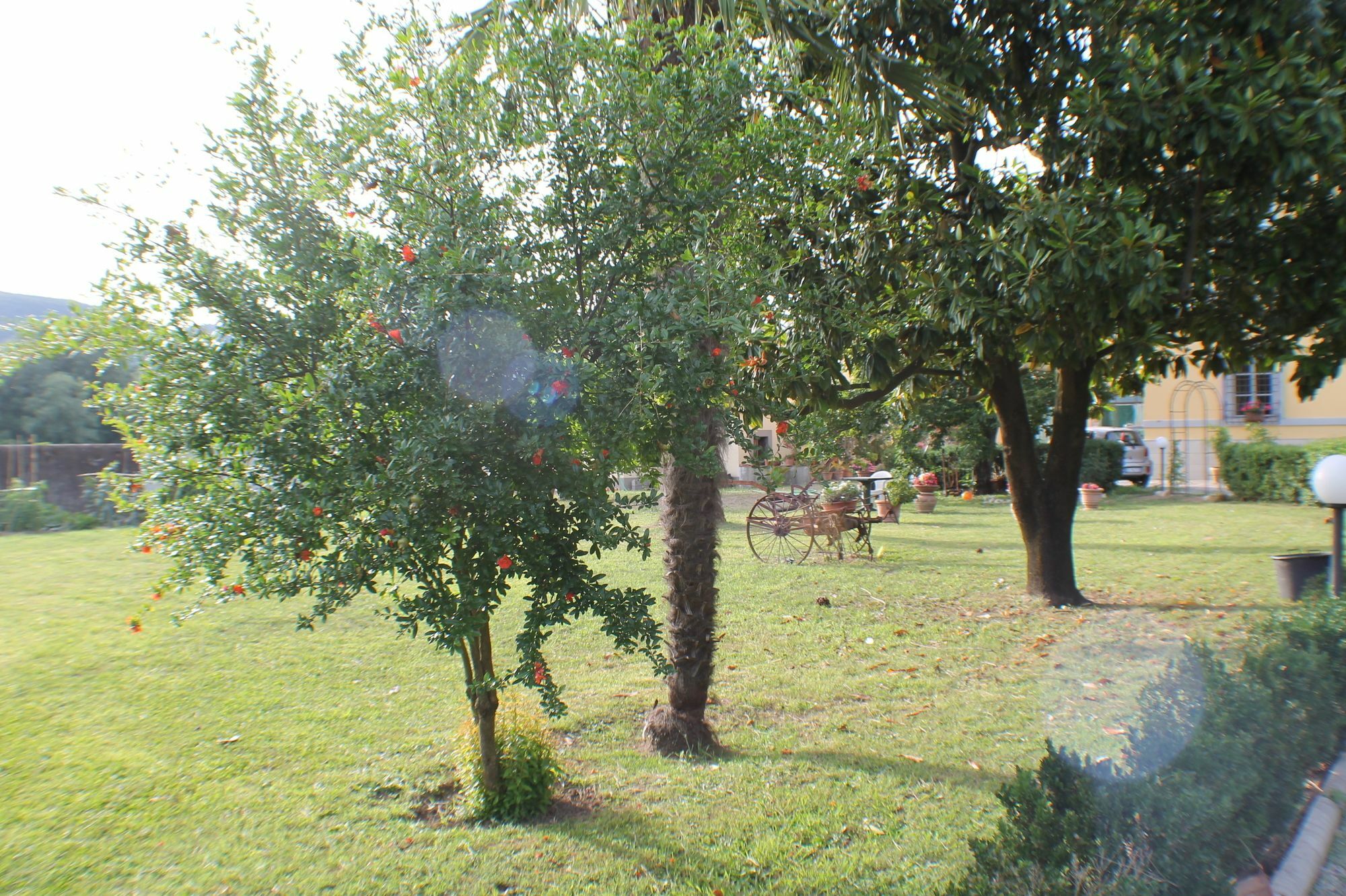 Bed & Breakfast Pardi