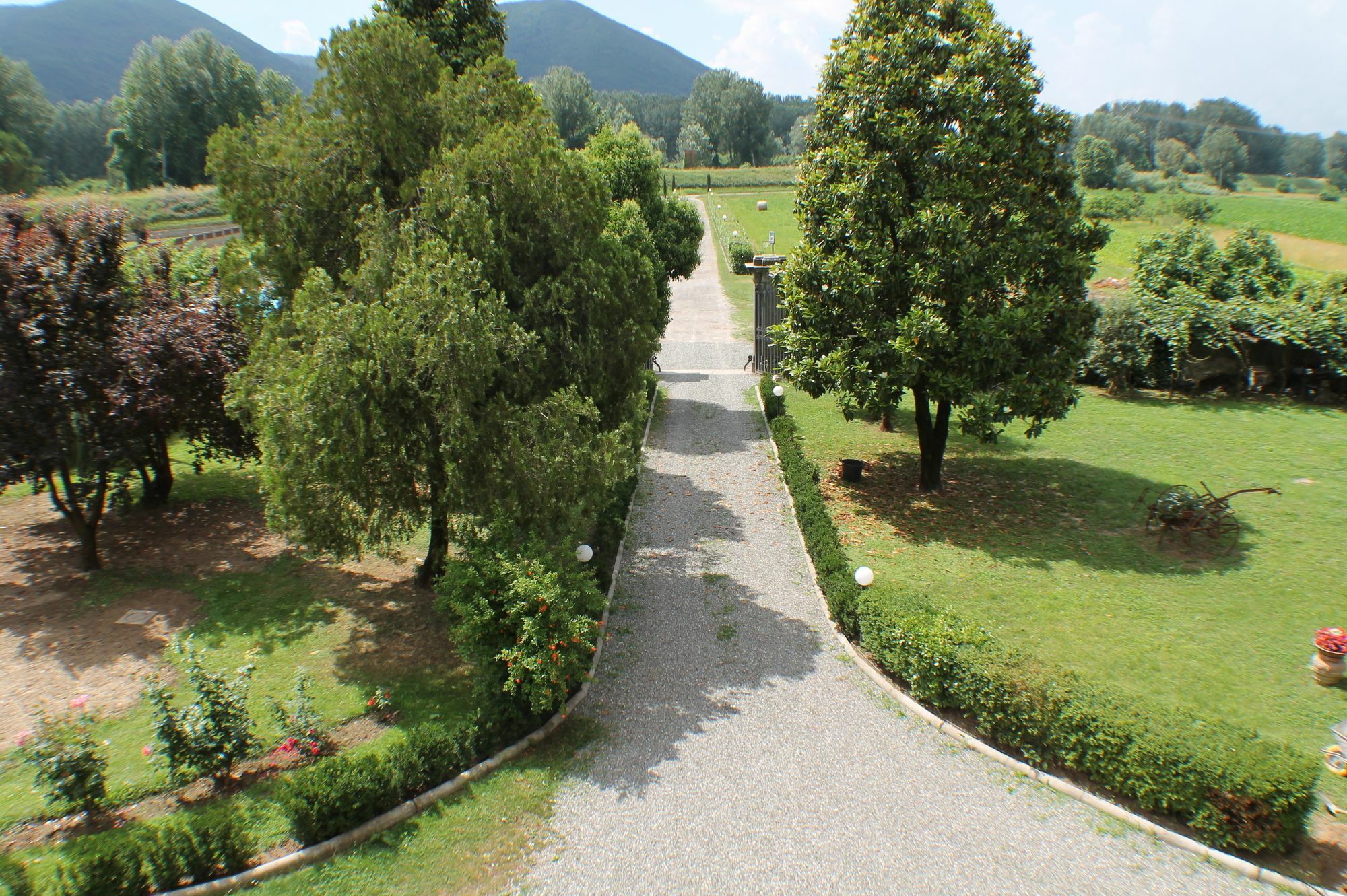 Pardi Lucca
