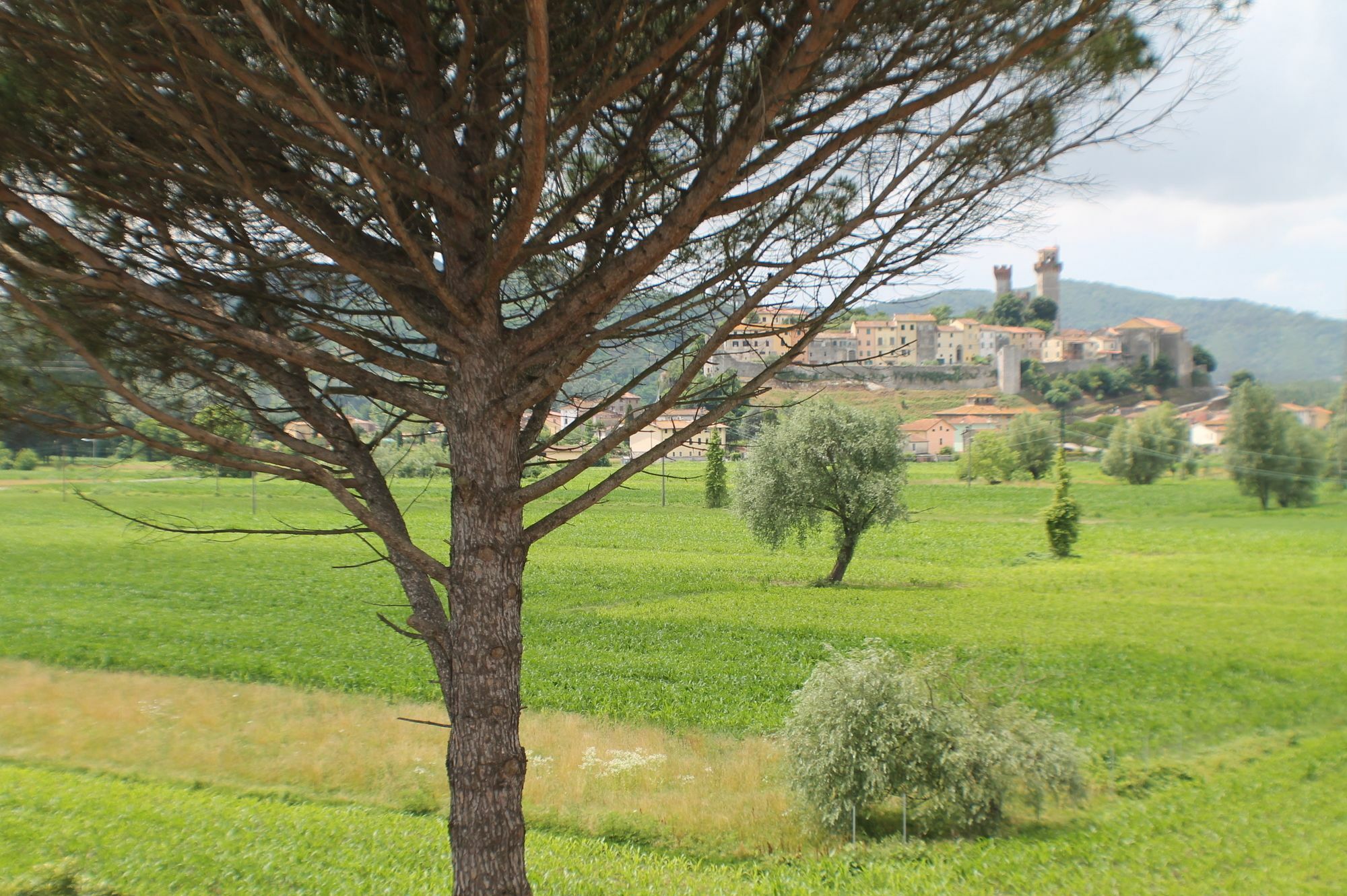 Pardi Bed & Breakfast Lucca